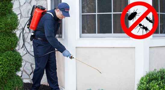 Pehlivanköy Sivrisinek İlaçlama böcek ilaçlama ve haşere kontrolü — ilaclama-tr.com